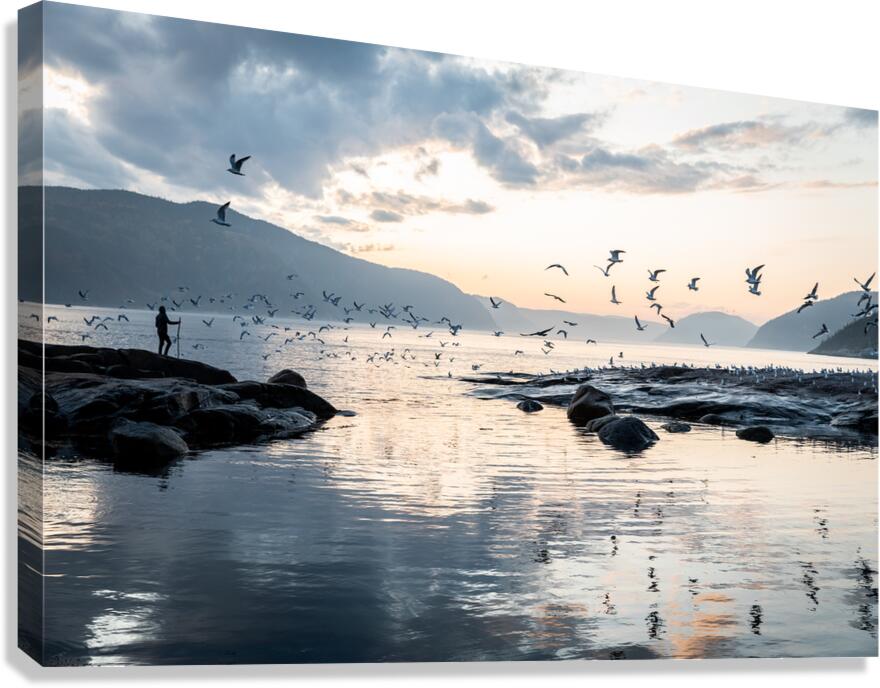 Guardian of the fjord  Canvas Print
