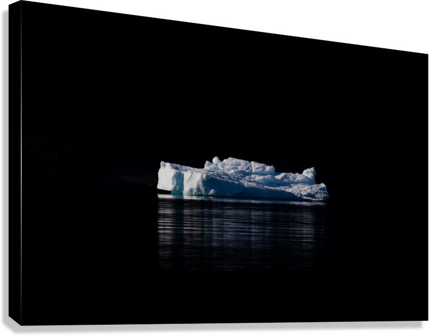 Lonely ice  Canvas Print