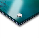 Swimming in wonderland Acrylic print