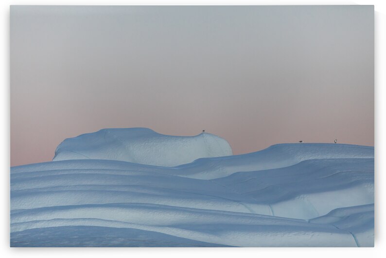 Arctic night by Richard Mardens