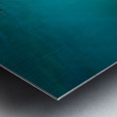 Swimming in wonderland Metal print