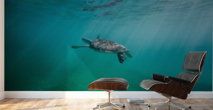 Swimming in wonderland Wall Murals