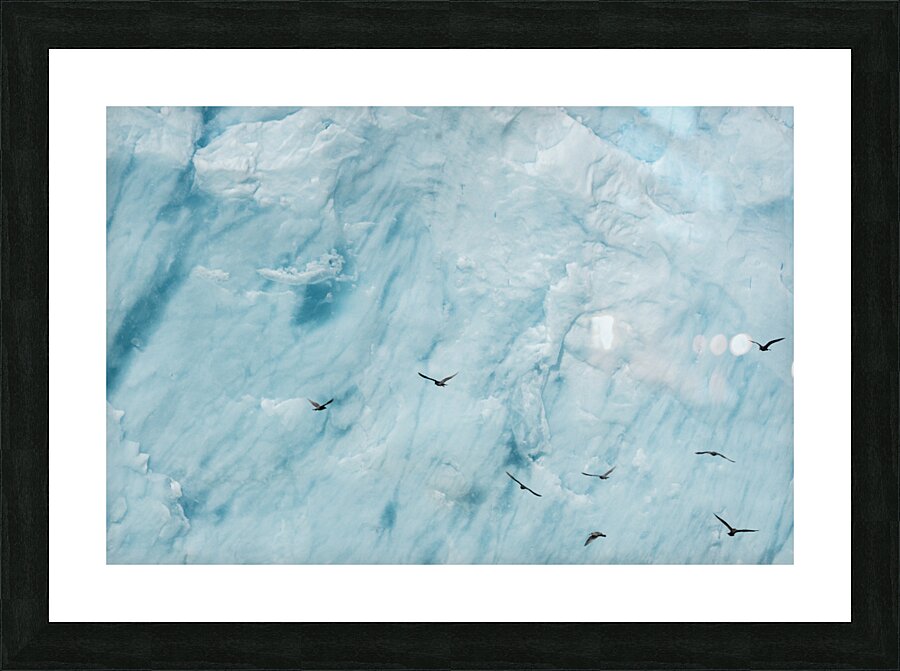 Ice Front Picture Frame print