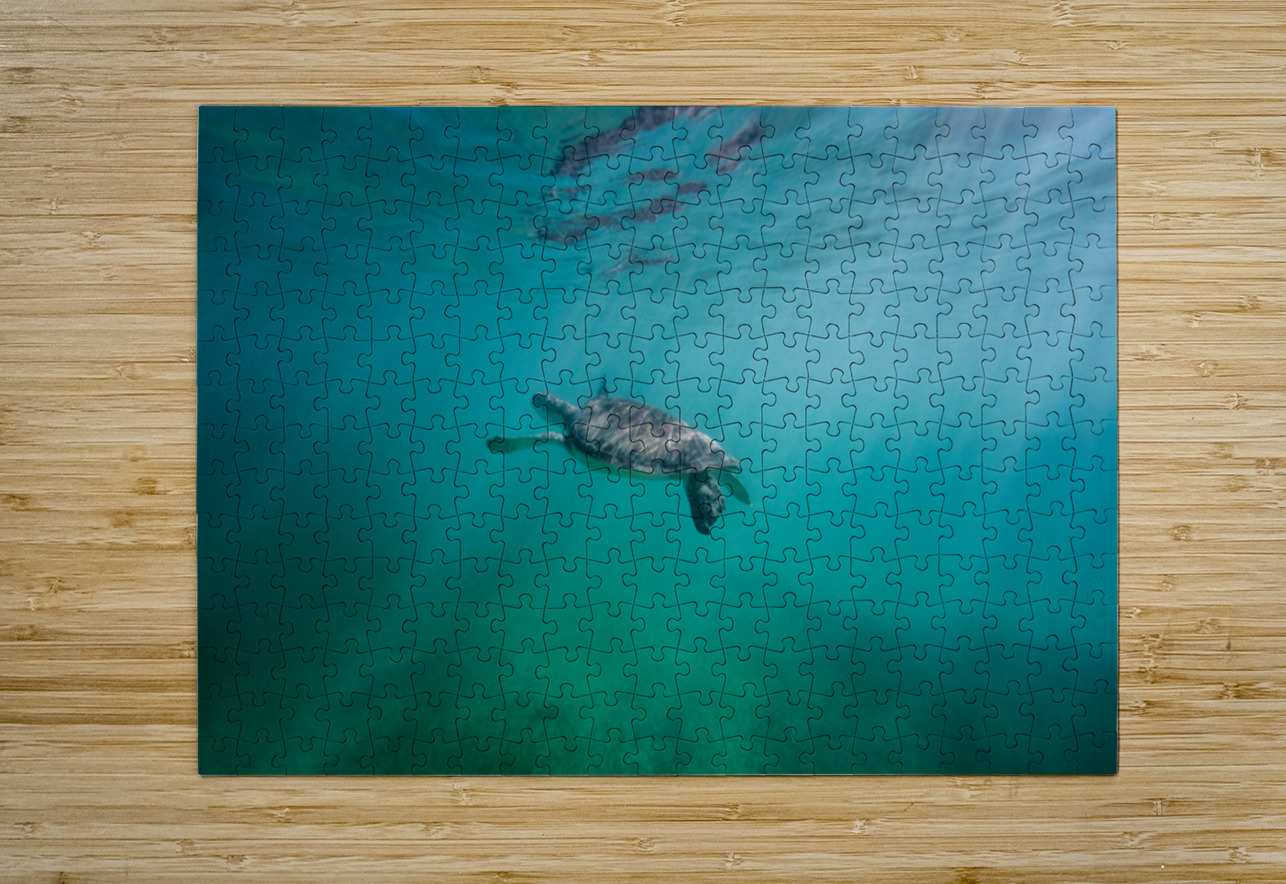 Swimming in wonderland Richard Mardens Puzzle printing