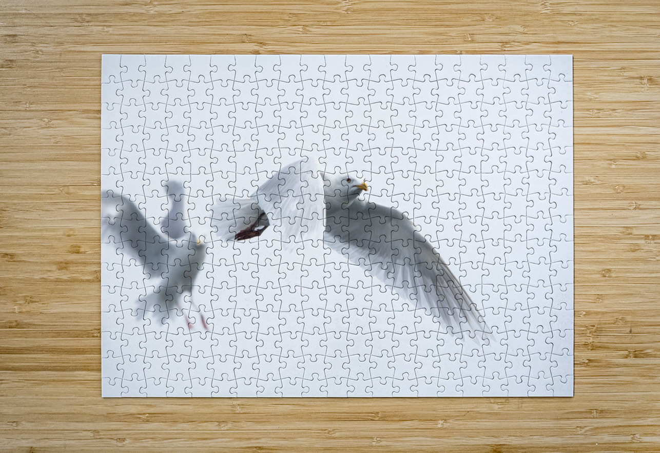 Gulls Richard Mardens Puzzle printing