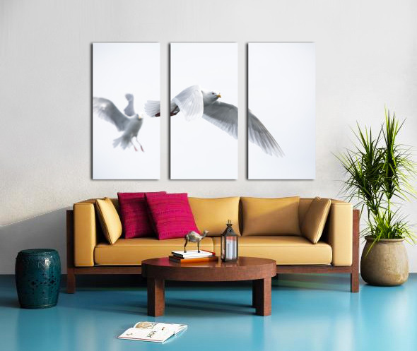 Gulls Split Canvas print