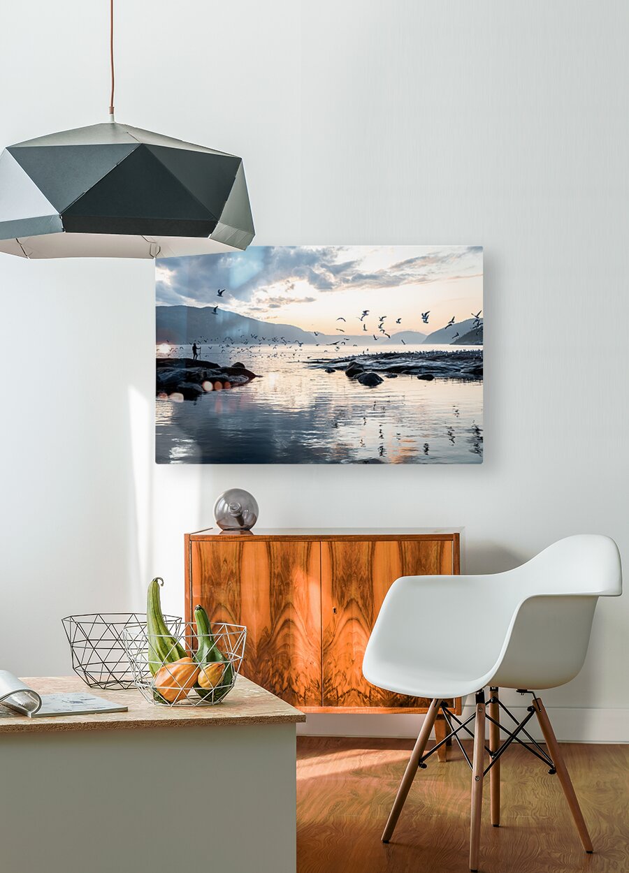 Guardian of the fjord  HD Metal print with Floating Frame on Back