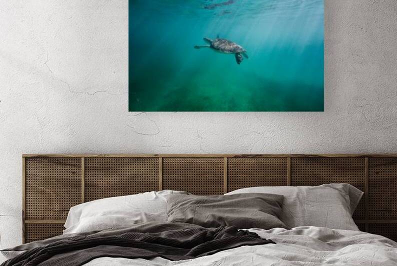 Swimming in wonderland by Richard Mardens