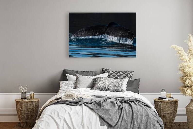 Humpback by Richard Mardens