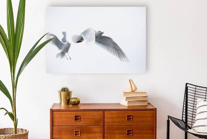 Gulls by Richard Mardens