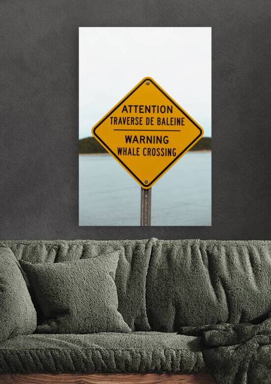 Whale crossing by Richard Mardens