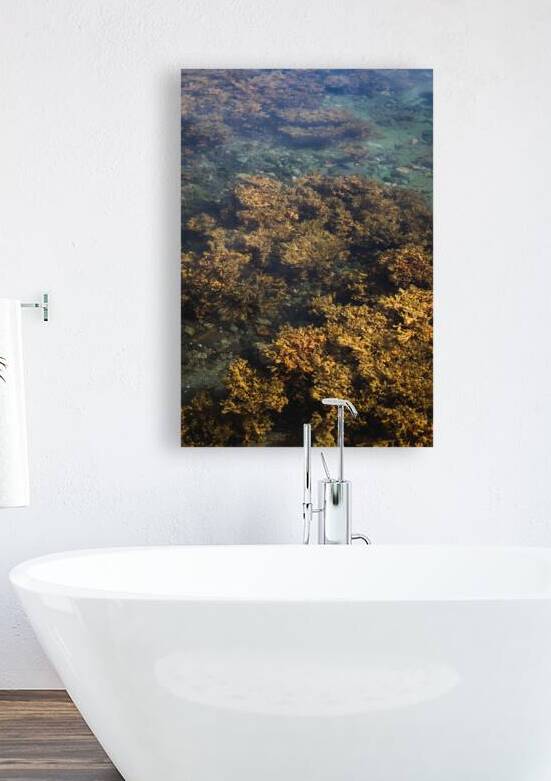 Littoral by Richard Mardens