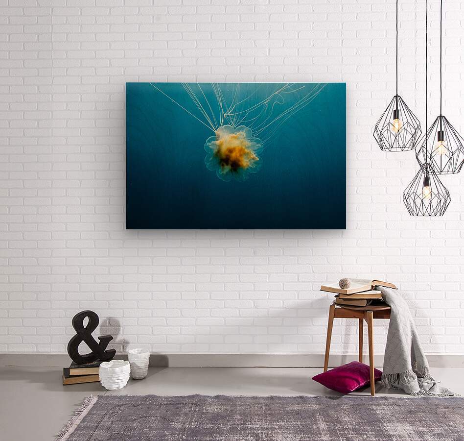 Lions Mane Jellyfish  Wood print