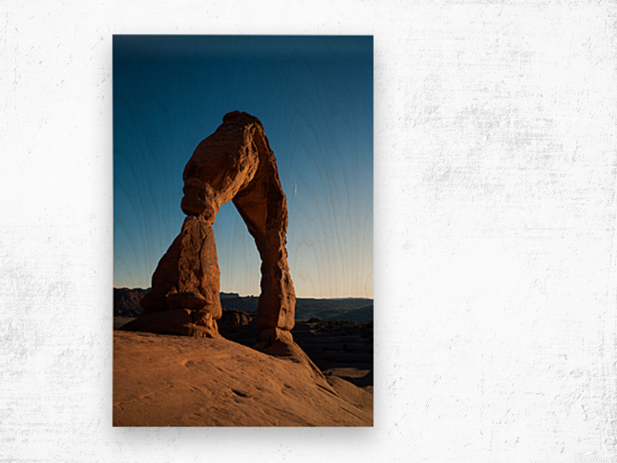 Delicate Arch Wood print